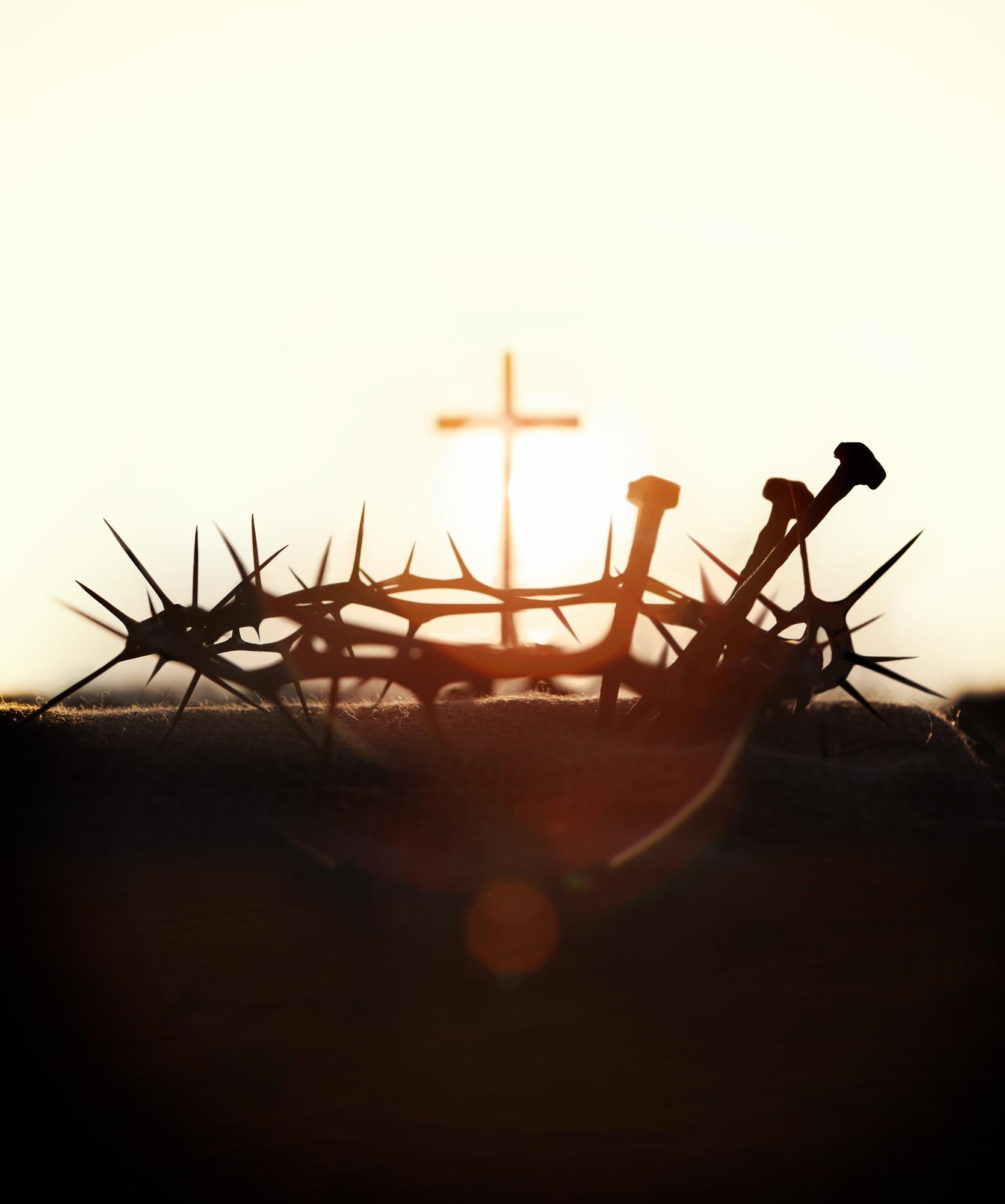 Crown of thorns with cross and nails on white background Stock Photo |  Adobe Stock